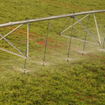 No Dia Mundial de Combate à Seca, Paraná reforça ações para garantir oferta de água