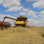 Região, que abrange Sul, Leste, Campos Gerais e Litoral do Paraná entra no escalonamento do vazio sanitário neste sábado e não podem cultivar ou manter viva planta da soja até 19 de setembro. As demais regiões já entraram no período início do mês.