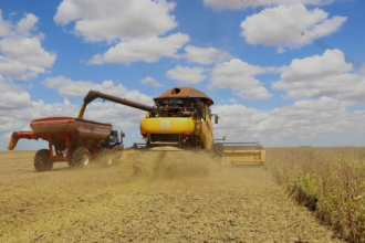 Região, que abrange Sul, Leste, Campos Gerais e Litoral do Paraná entra no escalonamento do vazio sanitário neste sábado e não podem cultivar ou manter viva planta da soja até 19 de setembro. As demais regiões já entraram no período início do mês.