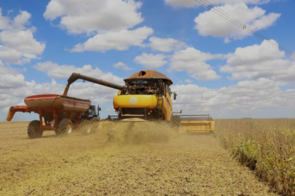 Região, que abrange Sul, Leste, Campos Gerais e Litoral do Paraná entra no escalonamento do vazio sanitário neste sábado e não podem cultivar ou manter viva planta da soja até 19 de setembro. As demais regiões já entraram no período início do mês.