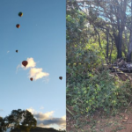 A Agência Nacional de Aviação Civil (ANAC) confirmou que o balão de ar quente que caiu no último sábado (21) em Praia Grande, no Sul de Santa Catarina, causando a morte de oito pessoas, não possuía certificação para voos comerciais.