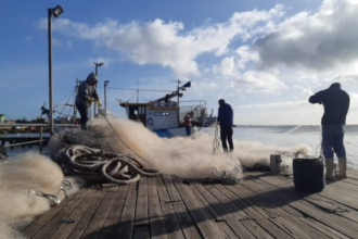 A suspensão foi baseada em dados consolidados por meio de Mapas de Produção e Declarações de Entrada de Tainha em empresas pesqueiras, e será registrada oficialmente no Painel de Monitoramento da Temporada de Pesca da Tainha.
