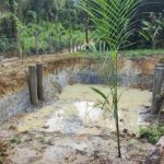 Nesta sexta-feira (27), um proprietário rural da localidade de Itinga, em Guaratuba, foi multado em R$ 36.400,00 em três autos de infração ambiental pela Polícia Militar Ambiental.