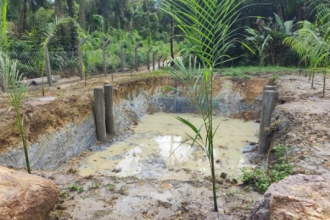 Nesta sexta-feira (27), um proprietário rural da localidade de Itinga, em Guaratuba, foi multado em R$ 36.400,00 em três autos de infração ambiental pela Polícia Militar Ambiental.