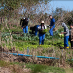 O avanço é um dos reflexos da transformação que já abrange 21 dos 26 colégios agrícolas e florestais do Paraná, já adaptados à nova legislação estadual que regulamenta o modelo cooperativo.