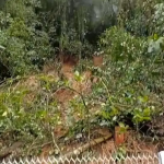 Após fortes chuvas, árvore ameaça cair e interdita parcialmente a BR-277. Por precaução, a faixa da direita foi interditada, e a pista opera de forma parcial no momento.