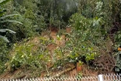 Após fortes chuvas, árvore ameaça cair e interdita parcialmente a BR-277. Por precaução, a faixa da direita foi interditada, e a pista opera de forma parcial no momento.