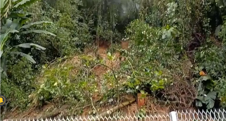 Após fortes chuvas, árvore ameaça cair e interdita parcialmente a BR-277. Por precaução, a faixa da direita foi interditada, e a pista opera de forma parcial no momento.
