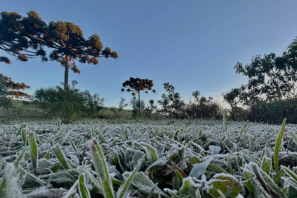 De acordo com o Sistema de Tecnologia e Monitoramento Ambiental do Paraná (Simepar), esse é só o começo: na quarta (30) o frio ficará mais intenso e só perderá força na sexta-feira (01).