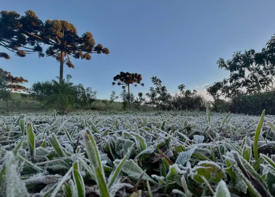 De acordo com o Sistema de Tecnologia e Monitoramento Ambiental do Paraná (Simepar), esse é só o começo: na quarta (30) o frio ficará mais intenso e só perderá força na sexta-feira (01).
