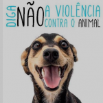 O animal, da raça Golden retriever, foi resgatado e permanece em um lar temporário.