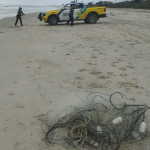 Na região da praia "Barra do Saí" foi constatada uma rede de pesca do tipo "feiticeira" instalada perpendicularmente a praia, com 50 metros de comprimento e 3 metros de altura, malhas de 30 e 10 centimentos entre nós.