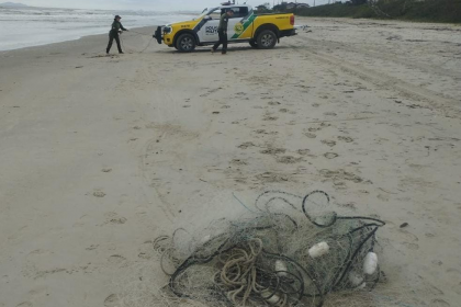 Na região da praia "Barra do Saí" foi constatada uma rede de pesca do tipo "feiticeira" instalada perpendicularmente a praia, com 50 metros de comprimento e 3 metros de altura, malhas de 30 e 10 centimentos entre nós.