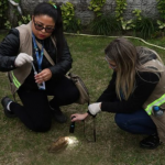 A Prefeitura de Pontal do Paraná iniciou o uso de ovitrampas como parte das ações de combate ao mosquito Aedes aegypti, transmissor da dengue, zika e chikungunya.