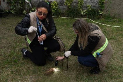 A Prefeitura de Pontal do Paraná iniciou o uso de ovitrampas como parte das ações de combate ao mosquito Aedes aegypti, transmissor da dengue, zika e chikungunya.