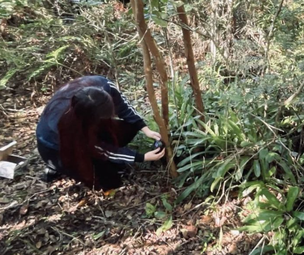 A ação busca entender como as intervenções podem afetar as espécies nativas, garantindo que o ambiente natural seja considerado em cada fase do projeto.