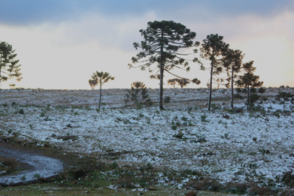 Nos últimos 50 anos, Paraná teve registro de neve em 1975, 2013 e 2020. Um dos fatores que desfavorecem a formação do fenômeno é a altitude.