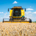 No interior do Paraná, a cotação da soja teve queda de 0,49% e a saca de 60 kg é negociada a R$ 129,62.