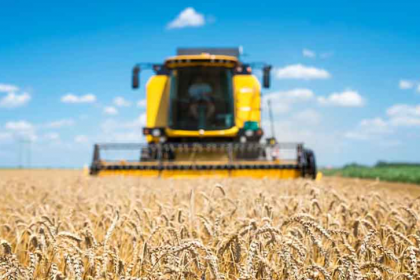 No interior do Paraná, a cotação da soja teve queda de 0,49% e a saca de 60 kg é negociada a R$ 129,62.