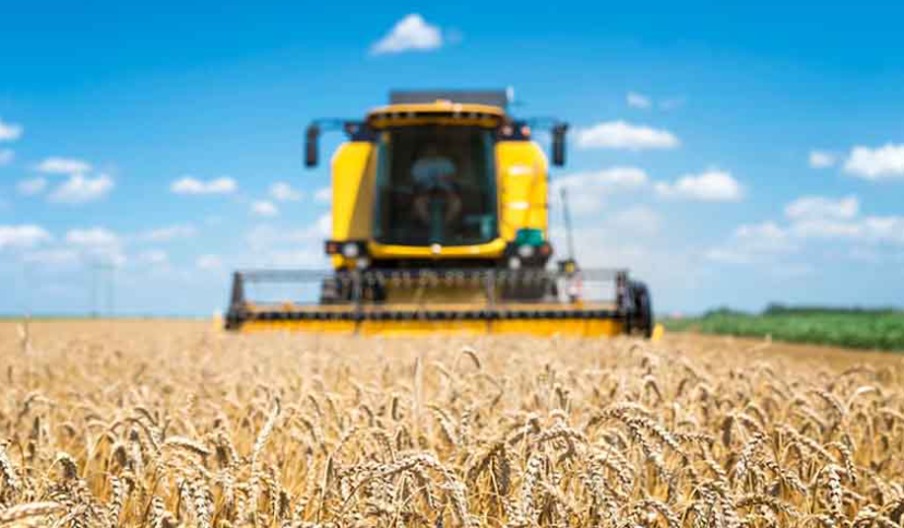 No interior do Paraná, a cotação da soja teve queda de 0,49% e a saca de 60 kg é negociada a R$ 129,62.