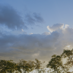 A massa de ar frio e seco que atuava sobre o Estado começa a se afastar, e as temperaturas devem subir gradualmente nos próximos dias.