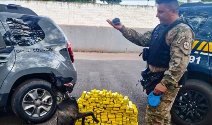 O apoio foi prestado através do Setor de Operações Especiais (SOE), com a cadela conduzida pelo policial penal Rodrigo Nieri da Costa.