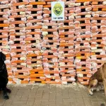 Em semestre histórico, unidades caninas do estado foram responsáveis pela apreensão de 60 toneladas de maconha, mais de uma tonelada de cocaína e 316 armas de fogo.