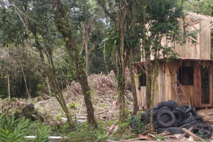 Polícia Militar Ambiental de Guaratuba em fiscalização, constatou dano de vegetação nativa secundária, em estágio médio de regeneração, sem autorização do órgão ambiental competente.