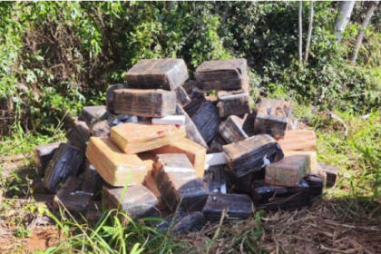 Durante um patrulhamento na zona rural do município, os policiais realizaram buscas em uma área de mata e encontraram 170 volumes do entorpecente.