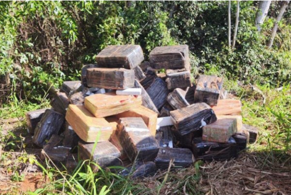 Durante um patrulhamento na zona rural do município, os policiais realizaram buscas em uma área de mata e encontraram 170 volumes do entorpecente.