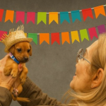 Além de aproveitar a festa, os visitantes poderão conhecer os cães e gatos que aguardam por um lar e, quem sabe, encontrar um novo amigo para a vida toda.