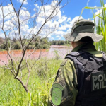 PMPR resgata 216 animais e interrompe desmatamento ilegal de 159 hectares em junho