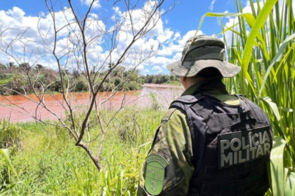 PMPR resgata 216 animais e interrompe desmatamento ilegal de 159 hectares em junho