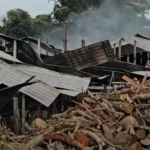 O local abrigava cerca de 68 mil aves, e aproximadamente 21 mil pintinhos morreram.