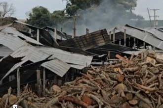 O local abrigava cerca de 68 mil aves, e aproximadamente 21 mil pintinhos morreram.