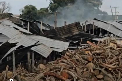 O local abrigava cerca de 68 mil aves, e aproximadamente 21 mil pintinhos morreram.