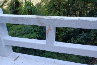 As prisões ocorreram em Campina Grande do Sul, na Região Metropolitana de Curitiba, durante uma operação que também levou à apreensão da arma e do carro usados no crime. Além da dupla presa, uma mulher foi presa em flagrante por posse ilegal de arma de fogo e munições.