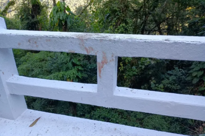 As prisões ocorreram em Campina Grande do Sul, na Região Metropolitana de Curitiba, durante uma operação que também levou à apreensão da arma e do carro usados no crime. Além da dupla presa, uma mulher foi presa em flagrante por posse ilegal de arma de fogo e munições.