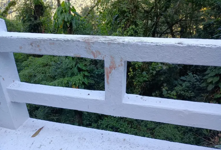 As prisões ocorreram em Campina Grande do Sul, na Região Metropolitana de Curitiba, durante uma operação que também levou à apreensão da arma e do carro usados no crime. Além da dupla presa, uma mulher foi presa em flagrante por posse ilegal de arma de fogo e munições.