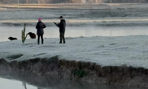 O declínio nas temperaturas foi de de cerca de 10°C ao longo do dia em algumas cidades, como por exemplo em Altônia, que foi de 22,5°C à 0h para 9,6°C às 22h.