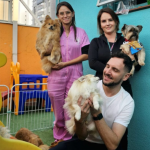 Além de clínicas e pet shops, a cidade está repleta de locais voltados para os bichinhos.