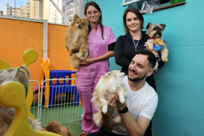 Além de clínicas e pet shops, a cidade está repleta de locais voltados para os bichinhos.