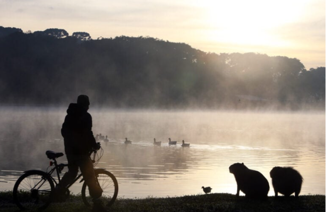 O sistema trouxe de volta a chuva para diversas regiões do estado, incluindo áreas como o Norte e o Noroeste, que estavam há mais de um mês sem registrar precipitações.