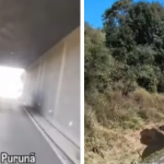 Os dois são bolivianos e foram submetidos ao teste do bafômetro. Segundo a corporação, eles tiveram resultados mais de duas vezes superiores ao limite que configura o crime de embriaguez ao volante.