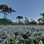 O Paraná voltou a amanhecer com os termômetros próximos a 0ºC nesta quarta-feira (2), segundo o Sistema de Tecnologia e Monitoramento Ambiental do estado (Simepar).