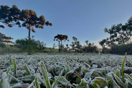 O Paraná voltou a amanhecer com os termômetros próximos a 0ºC nesta quarta-feira (2), segundo o Sistema de Tecnologia e Monitoramento Ambiental do estado (Simepar).