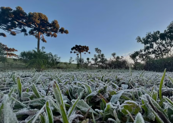 O Paraná voltou a amanhecer com os termômetros próximos a 0ºC nesta quarta-feira (2), segundo o Sistema de Tecnologia e Monitoramento Ambiental do estado (Simepar).