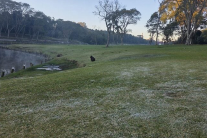 O dia começou com temperaturas negativas e geadas em diversas regiões do estado, especialmente no Sul e nos Campos Gerais.