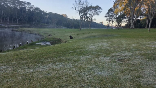 O dia começou com temperaturas negativas e geadas em diversas regiões do estado, especialmente no Sul e nos Campos Gerais.