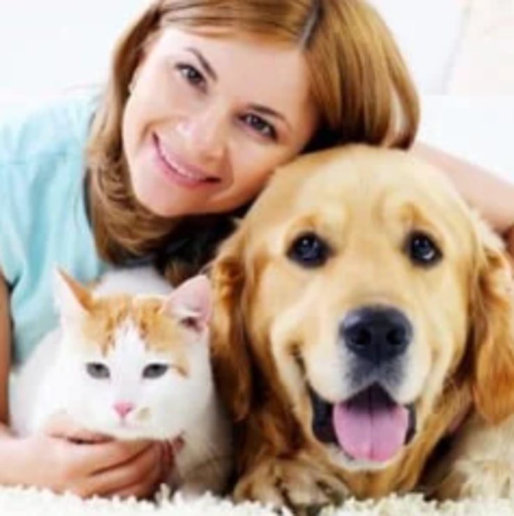 Especialistas em comportamento animal destacam que a escolha reflete uma faceta do estilo de vida e da identidade do tutor.